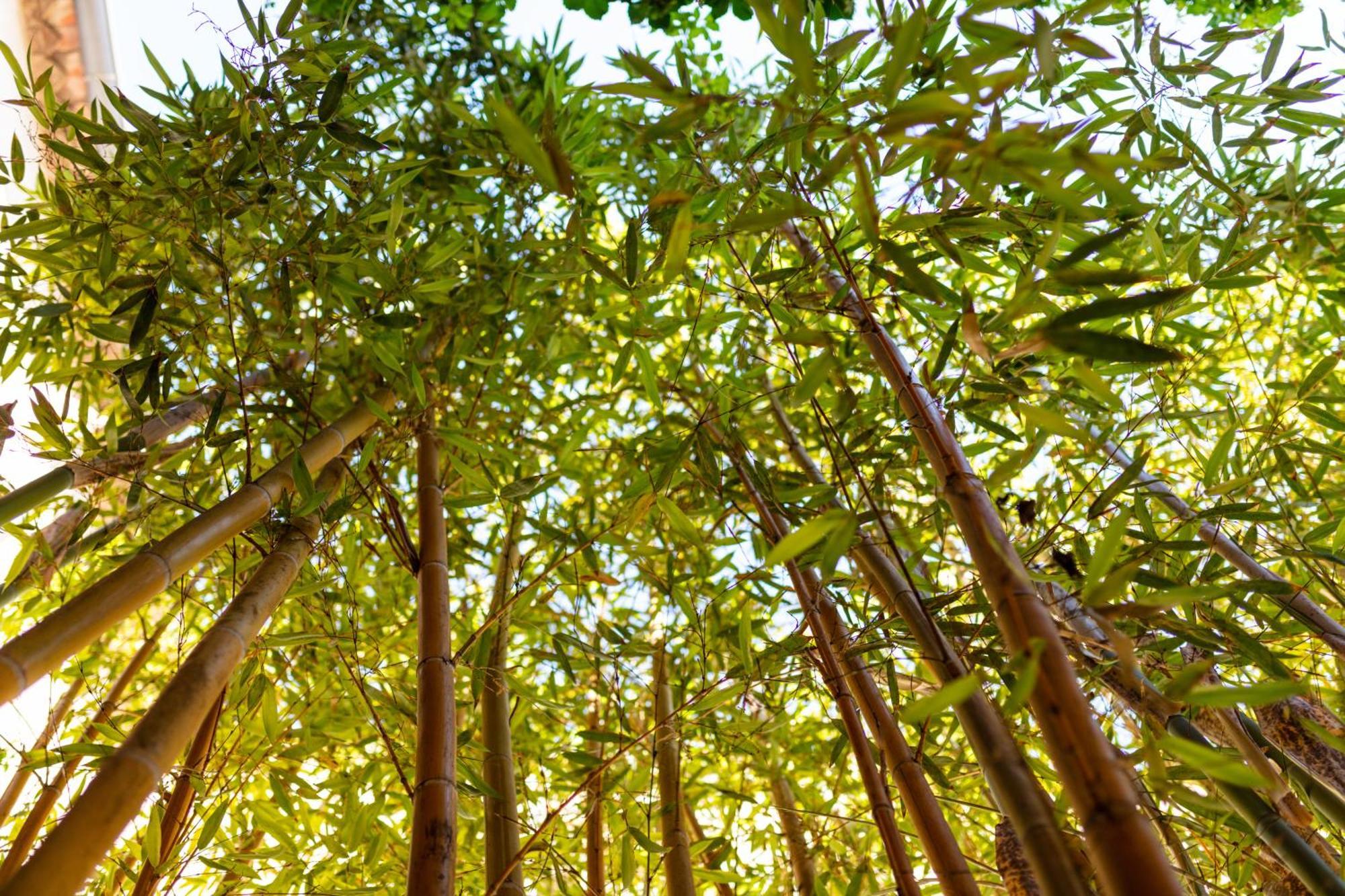 مبيت وإفطار ريفسالت La Tour Du Terroir المظهر الخارجي الصورة